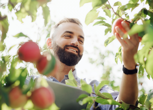 servicios ganaderos agrícolas en almería